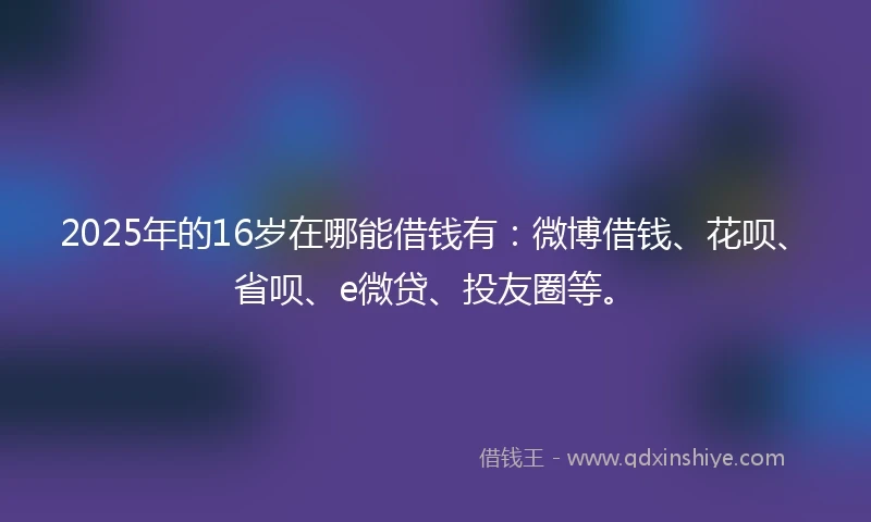 2025年的16岁在哪能借钱有：微博借钱、花呗、省呗、e微贷、投友圈等。