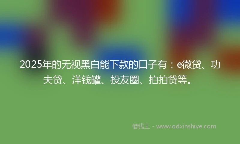 2025年的无视黑白能下款的口子有：e微贷、功夫贷、洋钱罐、投友圈、拍拍贷等。