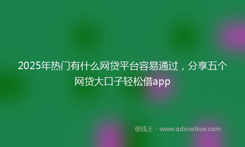 2025年热门有什么网贷平台容易通过，分享五个网贷大口子轻松借app