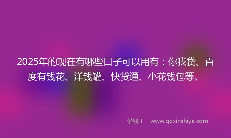 2025年的现在有哪些口子可以用有：你我贷、百度有钱花、洋钱罐、快贷通、小花钱包等。