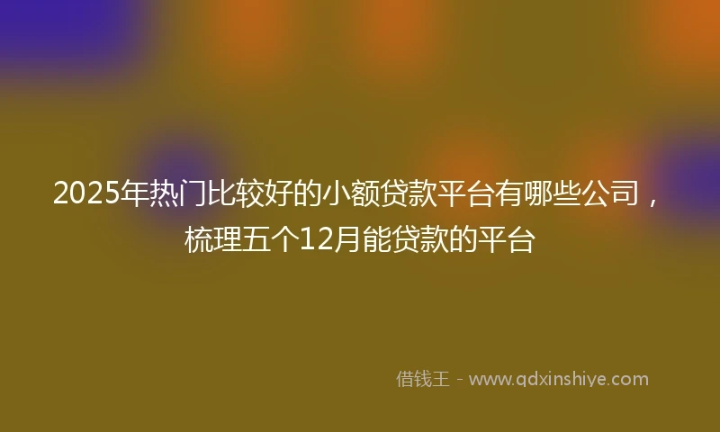 2025年热门比较好的小额贷款平台有哪些公司，梳理五个12月能贷款的平台