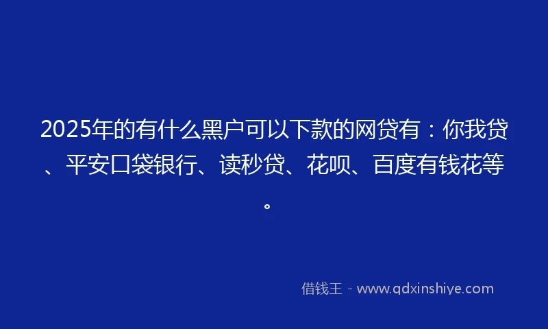 2025年的有什么黑户可以下款的网贷有：你我贷、平安口袋银行、读秒贷、花呗、百度有钱花等。