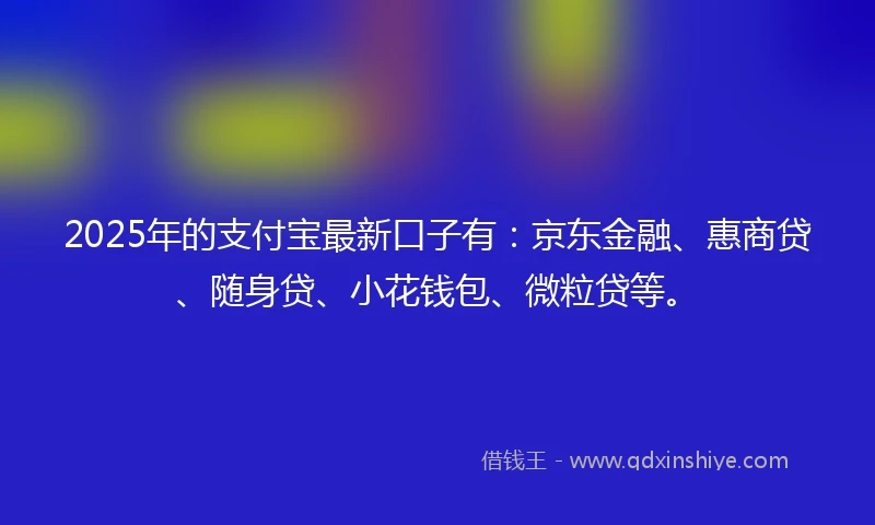 2025年的支付宝最新口子有：京东金融、惠商贷、随身贷、小花钱包、微粒贷等。