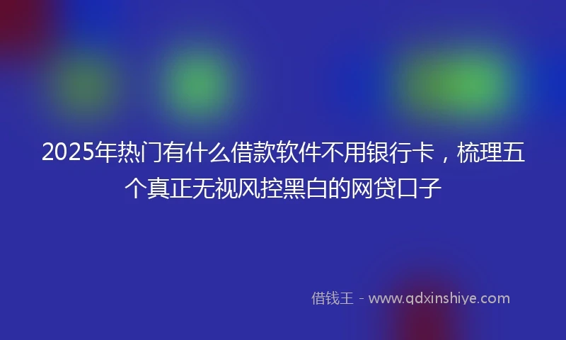 2025年热门有什么借款软件不用银行卡，梳理五个真正无视风控黑白的网贷口子