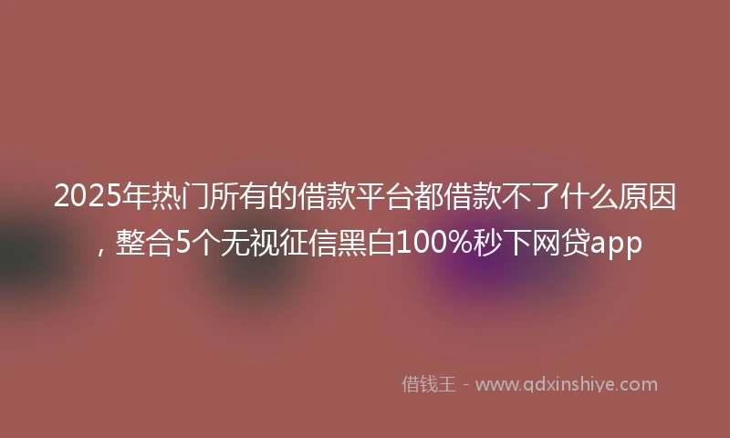2025年热门所有的借款平台都借款不了什么原因，整合5个无视征信黑白100%秒下网贷app