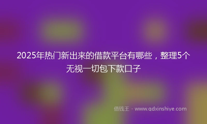 2025年热门新出来的借款平台有哪些，整理5个无视一切包下款口子