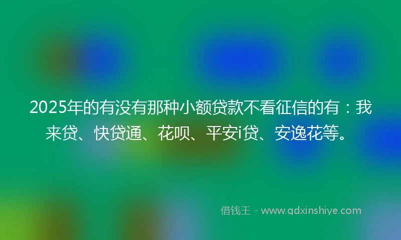 2025年的有没有那种小额贷款不看征信的有：我来贷、快贷通、花呗、平安i贷、安逸花等。