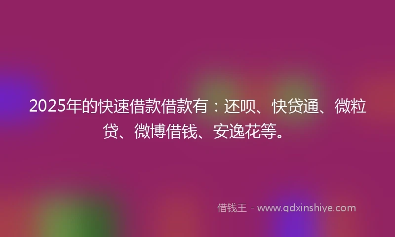 2025年的快速借款借款有：还呗、快贷通、微粒贷、微博借钱、安逸花等。