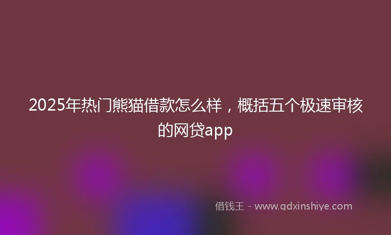 2025年热门熊猫借款怎么样，概括五个极速审核的网贷app