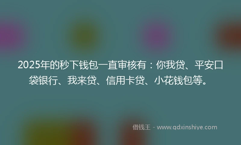 2025年的秒下钱包一直审核有：你我贷、平安口袋银行、我来贷、信用卡贷、小花钱包等。