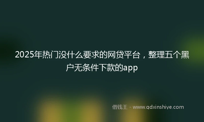 2025年热门没什么要求的网贷平台，整理五个黑户无条件下款的app