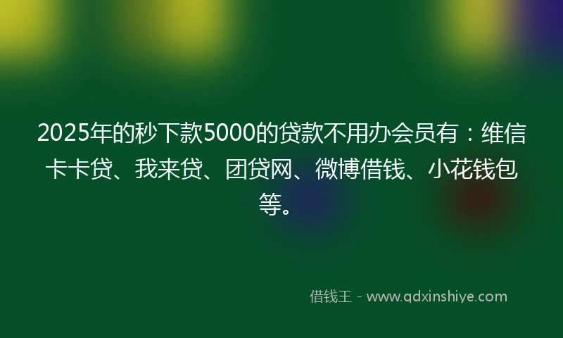 2025年的秒下款5000的贷款不用办会员有：维信卡卡贷、我来贷、团贷网、微博借钱、小花钱包等。