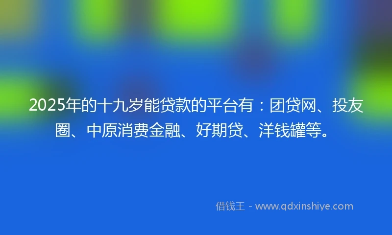 2025年的十九岁能贷款的平台有：团贷网、投友圈、中原消费金融、好期贷、洋钱罐等。