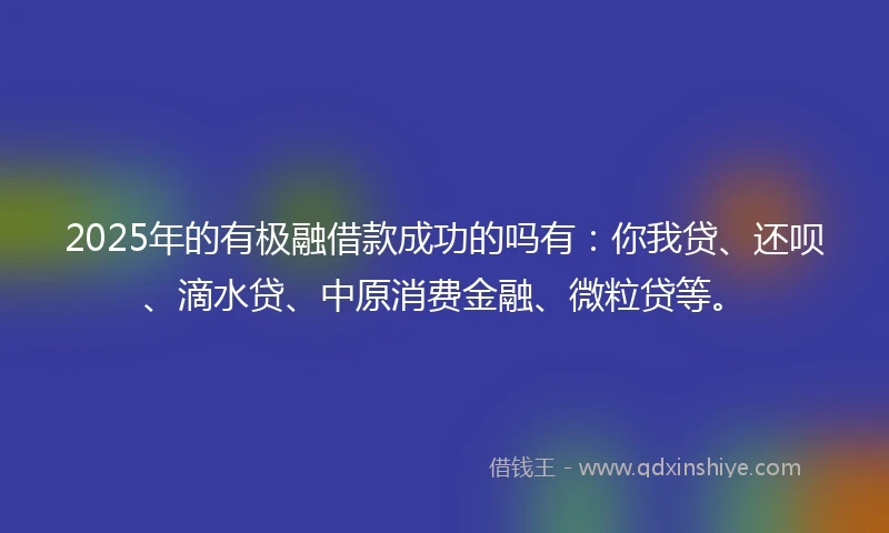2025年的有极融借款成功的吗有：你我贷、还呗、滴水贷、中原消费金融、微粒贷等。