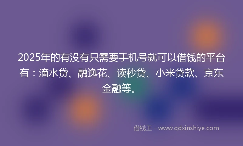 2025年的有没有只需要手机号就可以借钱的平台有：滴水贷、融逸花、读秒贷、小米贷款、京东金融等。