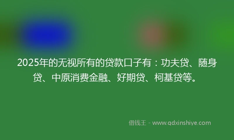 2025年的无视所有的贷款口子有：功夫贷、随身贷、中原消费金融、好期贷、柯基贷等。
