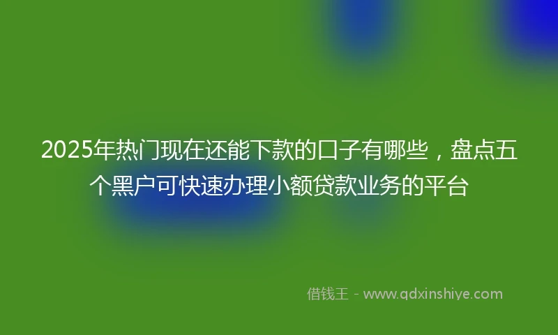 2025年热门现在还能下款的口子有哪些，盘点五个黑户可快速办理小额贷款业务的平台