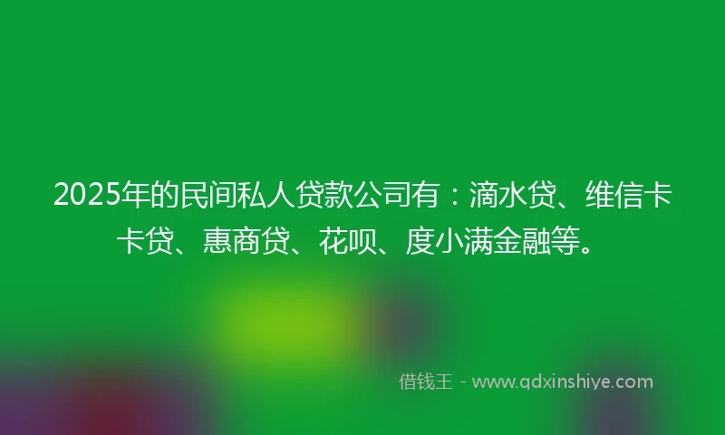 2025年的民间私人贷款公司有：滴水贷、维信卡卡贷、惠商贷、花呗、度小满金融等。
