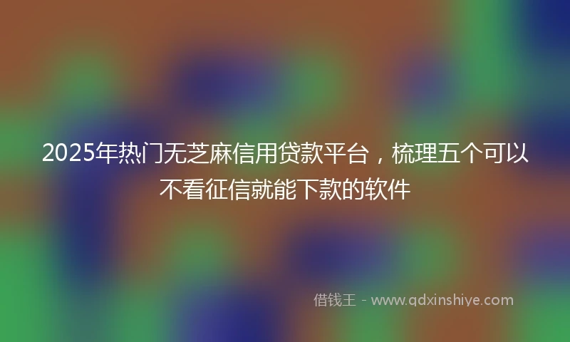 2025年热门无芝麻信用贷款平台，梳理五个可以不看征信就能下款的软件