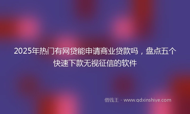 2025年热门有网贷能申请商业贷款吗，盘点五个快速下款无视征信的软件