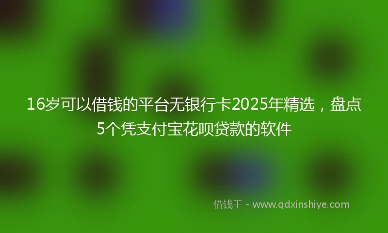 16岁可以借钱的平台无银行卡2025年精选，盘点5个凭支付宝花呗贷款的软件