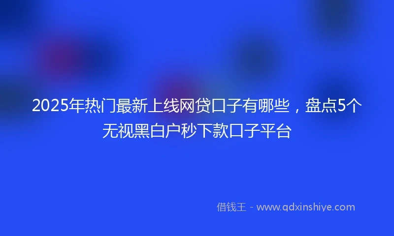 2025年热门最新上线网贷口子有哪些，盘点5个无视黑白户秒下款口子平台
