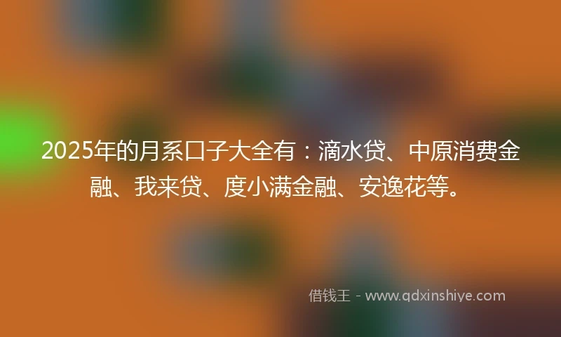 2025年的月系口子大全有：滴水贷、中原消费金融、我来贷、度小满金融、安逸花等。