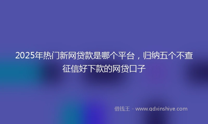 2025年热门新网贷款是哪个平台，归纳五个不查征信好下款的网贷口子