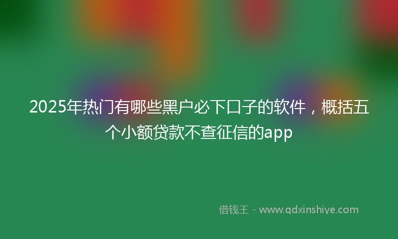2025年热门有哪些黑户必下口子的软件，概括五个小额贷款不查征信的app