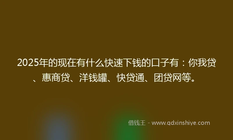 2025年的现在有什么快速下钱的口子有：你我贷、惠商贷、洋钱罐、快贷通、团贷网等。