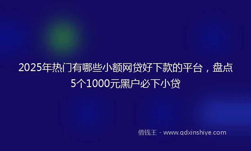 2025年热门有哪些小额网贷好下款的平台，盘点5个1000元黑户必下小贷