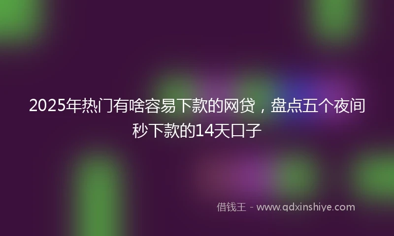 2025年热门有啥容易下款的网贷，盘点五个夜间秒下款的14天口子