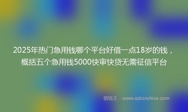 2025年热门急用钱哪个平台好借一点18岁的钱，概括五个急用钱5000快审快贷无需征信平台