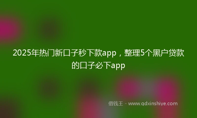 2025年热门新口子秒下款app，整理5个黑户贷款的口子必下app