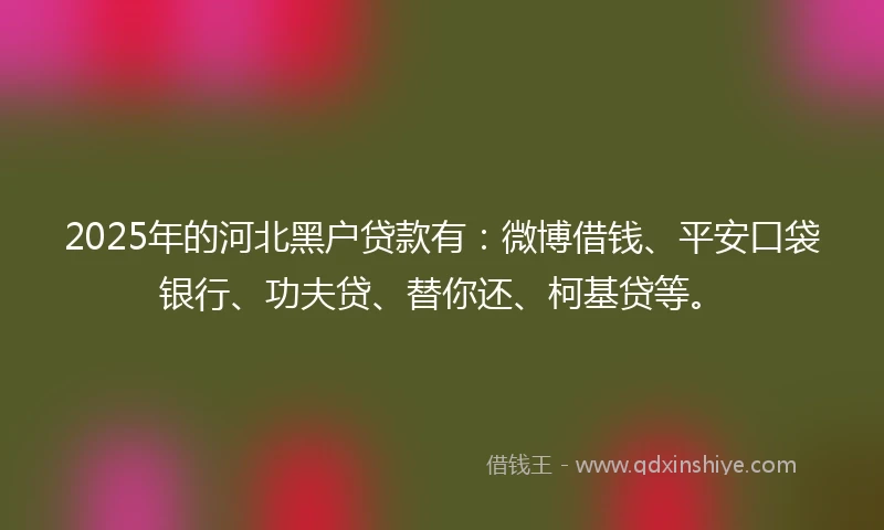 2025年的河北黑户贷款有：微博借钱、平安口袋银行、功夫贷、替你还、柯基贷等。