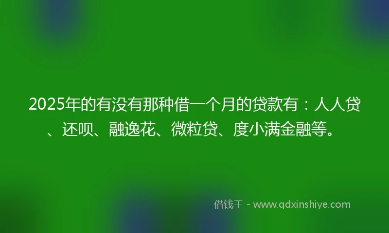 2025年的有没有那种借一个月的贷款有：人人贷、还呗、融逸花、微粒贷、度小满金融等。