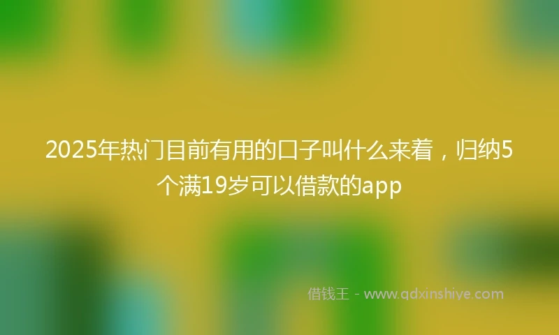 2025年热门目前有用的口子叫什么来着，归纳5个满19岁可以借款的app