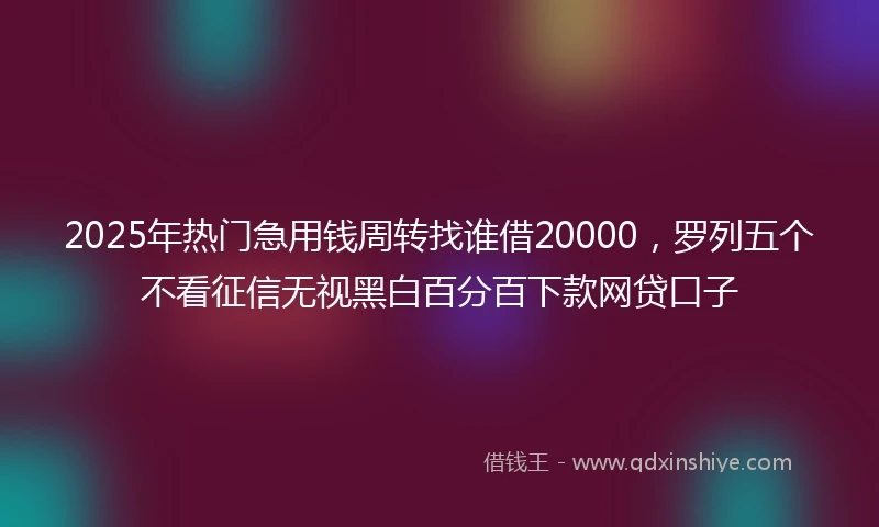 2025年热门急用钱周转找谁借20000，罗列五个不看征信无视黑白百分百下款网贷口子