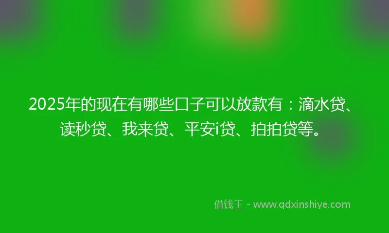 2025年的现在有哪些口子可以放款有：滴水贷、读秒贷、我来贷、平安i贷、拍拍贷等。