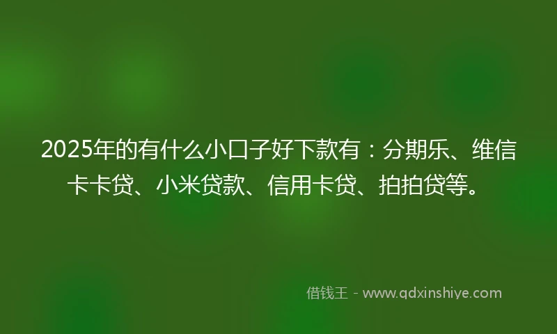 2025年的有什么小口子好下款有：分期乐、维信卡卡贷、小米贷款、信用卡贷、拍拍贷等。