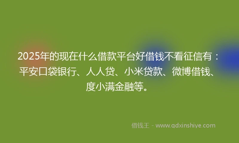 2025年的现在什么借款平台好借钱不看征信有：平安口袋银行、人人贷、小米贷款、微博借钱、度小满金融等。