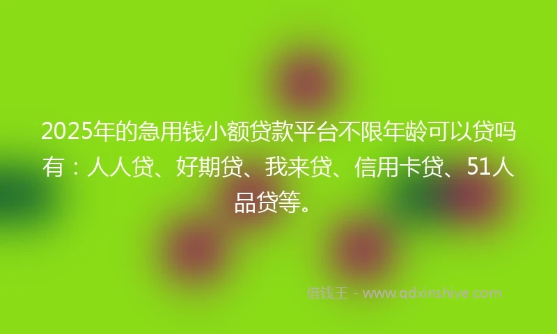 2025年的急用钱小额贷款平台不限年龄可以贷吗有：人人贷、好期贷、我来贷、信用卡贷、51人品贷等。