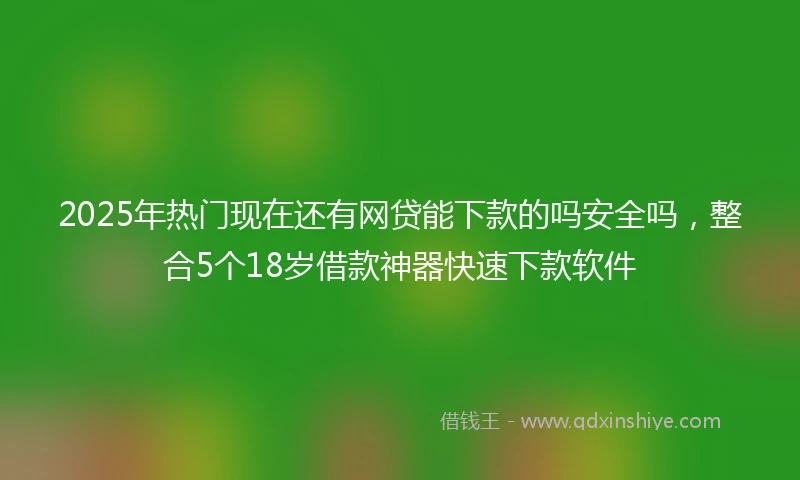 2025年热门现在还有网贷能下款的吗安全吗，整合5个18岁借款神器快速下款软件
