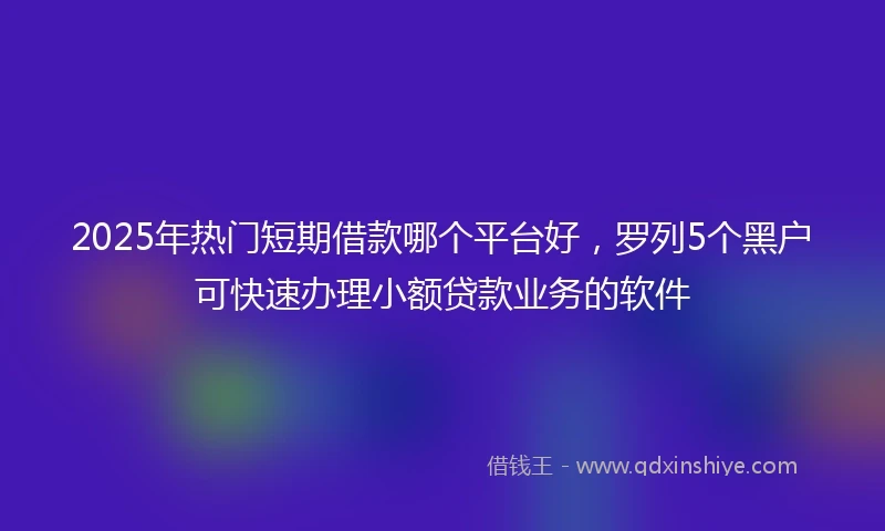 2025年热门短期借款哪个平台好，罗列5个黑户可快速办理小额贷款业务的软件