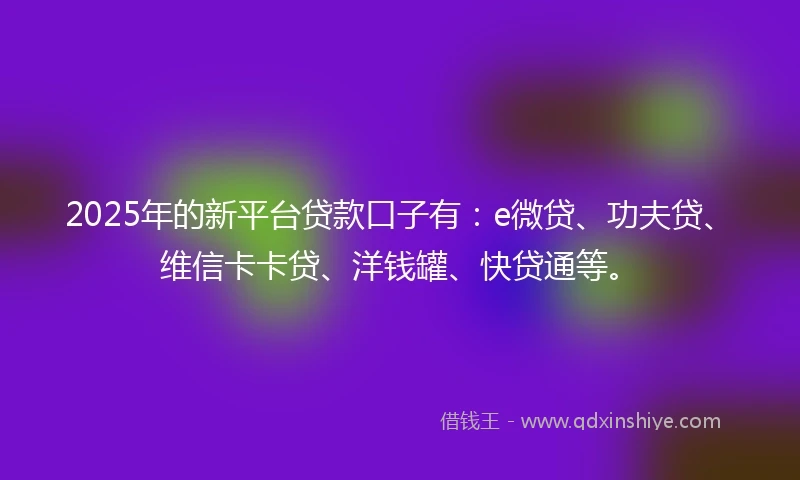 2025年的新平台贷款口子有：e微贷、功夫贷、维信卡卡贷、洋钱罐、快贷通等。