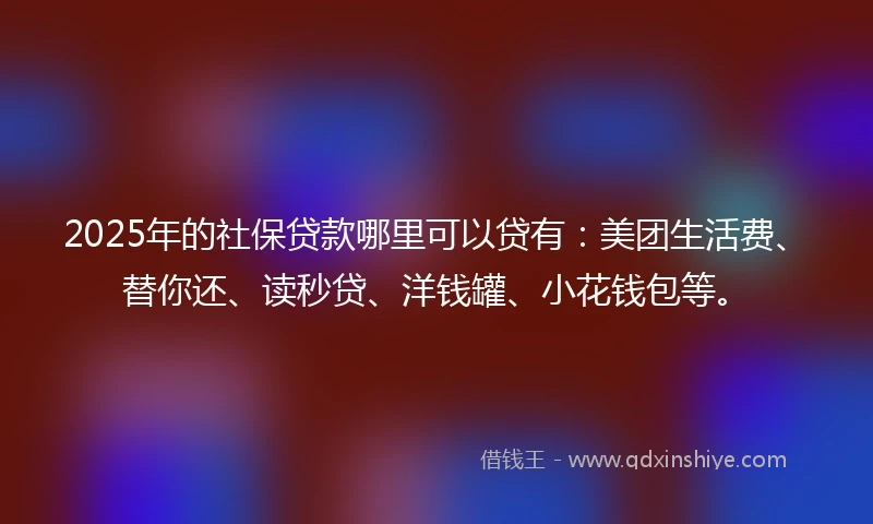 2025年的社保贷款哪里可以贷有:美团生活费、替你还、读秒贷、洋钱罐、小花钱包等。