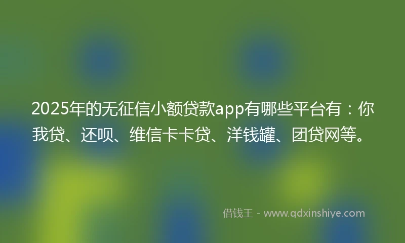2025年的无征信小额贷款app有哪些平台有：你我贷、还呗、维信卡卡贷、洋钱罐、团贷网等。