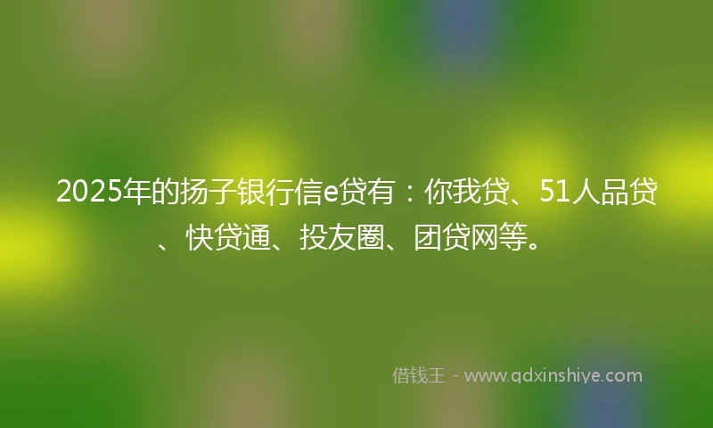 2025年的扬子银行信e贷有：你我贷、51人品贷、快贷通、投友圈、团贷网等。