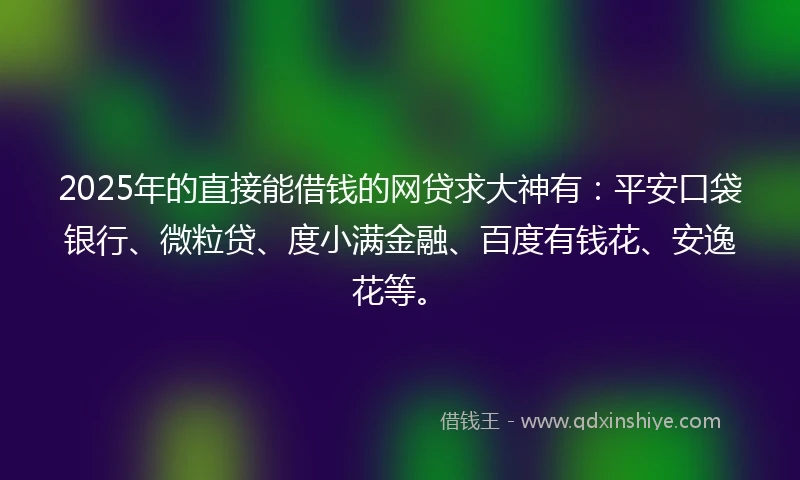 2025年的直接能借钱的网贷求大神有：平安口袋银行、微粒贷、度小满金融、百度有钱花、安逸花等。