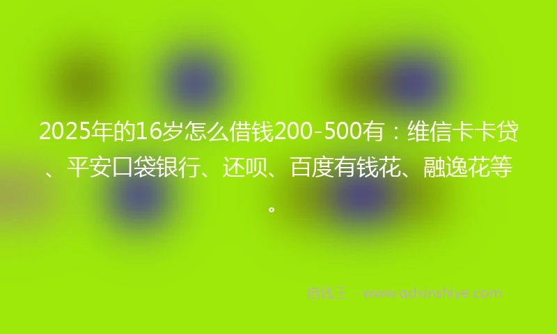 2025年的16岁怎么借钱200-500有：维信卡卡贷、平安口袋银行、还呗、百度有钱花、融逸花等。